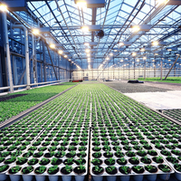 Plateau de semis en plastique PET robuste avec trous de drainage, 128 cellules, réutilisable, écologique, pour la propagation de légumes, d'herbes et de fleurs