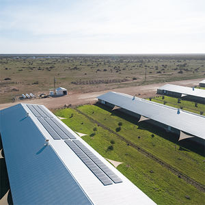 Pollaio in Struttura d'Acciaio con Telaio Leggero e Design Rustico per Allevamento di Polli Installazione Rapida - Product Image 3