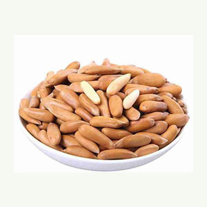 ถั่วสนคุณภาพสูง ออร์แกนิค นำเข้าจากแคนาดา ยอดขายอันดับต้นๆ แท้ 100% จากธรรมชาติ บรรจุภัณฑ์แบบดิบ เกรด A - Product Image 5