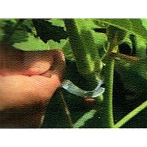 Coupe-récolte en acier inoxydable de type R pour fruits et légumes - Product Image 1