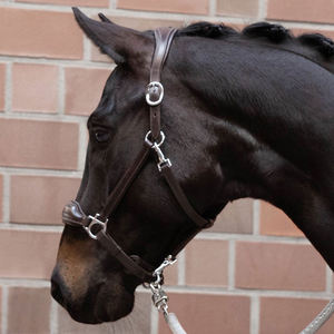 Concevez votre propre logo et laissez-vous séduire par la laisse pour cheval à prix bas / Laisse de sécurité souple pour l'équitation et les courses de chevaux disponible - Product Image 2