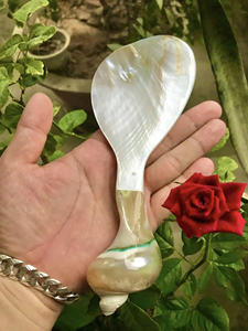 Natural Seashell <b>Spoon</b> Elegant For Dining <b>Table</b> Decoration Adds Sophistication And Eco-Friendly Charm To Meals - Product Image 3