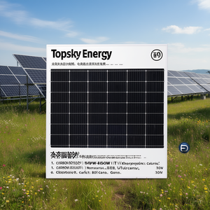 Panneau solaire monocristallin HJT Topsky Energy 550W-560W, qualité industrielle, certifié TUV - Product Image 3