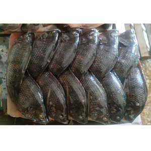 Tilapia Congelada de Fábrica China a Precio de Exportación, Tilapia Negra Congelada, Pescado Tilapia Congelado - Product Image 6