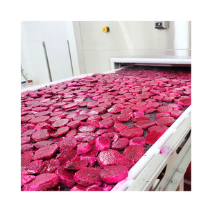 Rafraîchissez votre menu avec des fruits du dragon congelés Tropical Sweet Frozen Dragon Fruit Cubes - Product Image 1