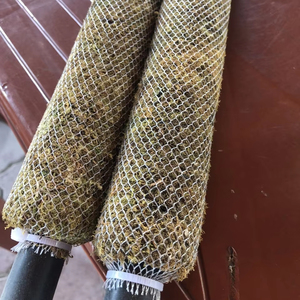 Planta de musgo vietnamita de alta calidad, producto agrícola Premium en Pila de musgo - Product Image 2