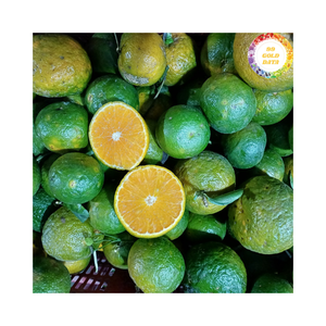 Naranja Fresca con Cáscara Verde Hecha con Naranja Fresca de Vietnam, Perfecta para Jugos, Smoothies, Recetas de Postres y Venta al por Menor - Product Image 1