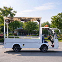 Voiturette de golf électrique 2 places, véhicule de transport de marchandises, hayon hydraulique, usage touristique