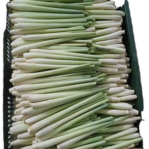 Prix bon marché et produits de citronnelle du Vietnam de haute qualité - Product Image 6