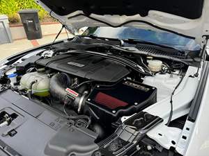 Mustang R0ush 450R Coupé 2022 ~16,000 Millas, Motor V8, Equipamiento de Alta Gama, Proveniente de un Clima Cálido - Product Image 6