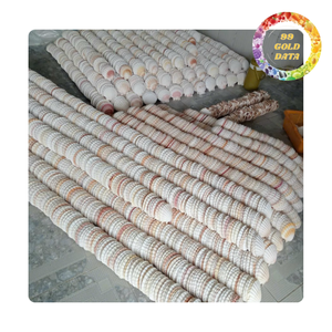 Conchas de vieiras limpias y pulidas | Ideal para marisco y catering de eventos - Product Image 2