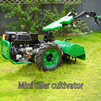 Motoculteur agricole puissant à essence diesel multifonction Motoculteur rotatif 15 HP Tracteur à pied MDT740 MGT730