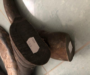 Embouts de corne de vache polis - Décorations en corne de buffle brute et sculptée pour la fabrication de bijoux DIY et l'artisanat de style animal - Product Image 3