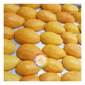 Cubos de Mango LQF de Alta Calidad, Congelados, Frescos, Maduros, Conservados en Agua, Venta al por Mayor a Granel, Exportación desde Vietnam - Caryln - Product Image 1