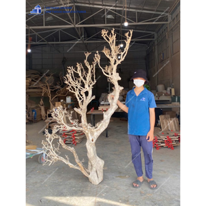 ไม้2025ขนาดใหญ่ที่ยั่งยืนสำหรับตู้ปลาและอุปกรณ์เสริมจากผู้ผลิตเวียดนาม - Product Image 2