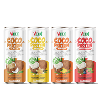 320Ml Kokoseiwit Milkshake Drink Vruchtensapsmaak-Private Label/Groothandel Drank-Marketingondersteuning-Gratis Monster