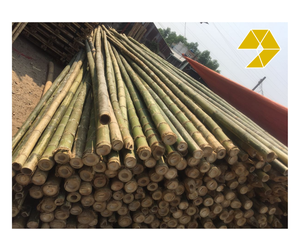 เสาไม้ไผ่แห้งไม้ไผ่ที่มีอายุการใช้งานยาวนานเสาไม้ไผ่สำหรับใช้ในสวนกรอบการก่อสร้างเสาไม้ไผ่ดิบจากเวียดนาม - Product Image 1