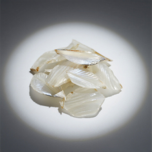 เครื่องสำอางคอลลาเจน2025แห้งจากเวียดนามใช้สำหรับการเก็บเกี่ยว VSF_001จากทะเลเวียดนามอายุการเก็บรักษา12เดือน - Product Image 1