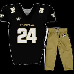 ชุดยูนิฟอร์มฟุตบอลอเมริกันผ้าโพลีเอสเตอร์ชุดออกกำลังกายระบายอากาศได้ดีชุดพิมพ์ลายขนาด XL ของคุณเอง100% งานตามสั่ง - Product Image 3