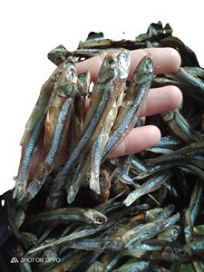 Anchoa de pescado seco de Vietnam - Product Image 6