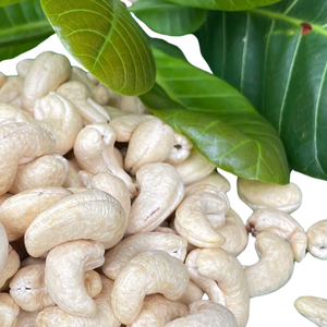 Offre Spéciale meilleur taux Noix de cajou brutes du Vietnam Noix de cajou Noix de cajou vietnamiennes Ww180 Ww240 Ww320 Emballage de marque privée disponible - Product Image 1