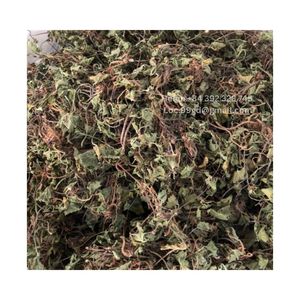 Precio razonable HOJA DE Centella seca al por mayor té de hierbas de centella asiática venta rápida de hierbas de té de Vietnam al por mayor GOTU KOLA - Product Image 4