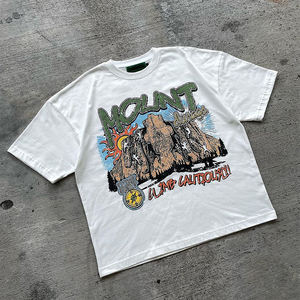 Camiseta con estampado de logotipo personalizado para hombre, camisetas lisas en blanco, camiseta al por mayor, Camiseta 100% de algodón para hombre, Camiseta holgada estampada 2025 - Product Image 1