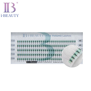 IB Eyelash Extension - <b>Pre</b>-<b>made</b> <b>Fan</b> FINE VOLUME LASHES Horizontal 4D Lash a Type Narrow Version Individual Lash ibeauty korea - Product Image 1