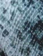 Leggings BJJ personnalisés, pantalons de yoga doux, collants de sport, collants de course, logo avant, respirant, durable, séchage rapide, Spandex/Polyester 220g - Product Image 4