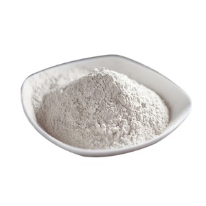 Polvo de yeso Natural de malla 200 de la mejor calidad para una mezcla suave, entrega rápida, para proyectos de bricolaje de escultura de yeso - Product Image 2