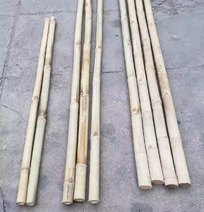 Carefully Harvested Bamboo Pole-Strong, Biodegradable <b>Plant</b> <b>Supports</b> <b>for</b> Earth-Friendly <b>Gardens</b> VIET FARGIMEX - Product Image 6