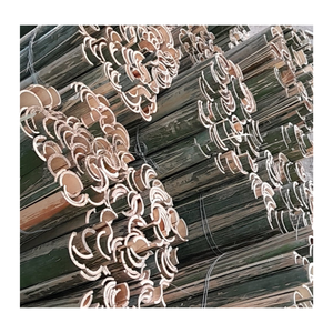 Natural <b>Bamboo</b> Poles - <b>Bamboo</b> <b>Cane</b> Material - Dry <b>Bamboo</b> Stakes for Export - Product Image 6