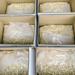 Noix de Cajou SANTIGO, Noyaux de Noix de Cajou Exportés vers le Moyen-Orient, Vente en Gros de Noix de Cajou - Product Image 1