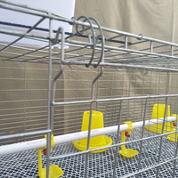 Ferme d'élevage de poulets automatique au design moderne à 3-4 niveaux Cage de batterie pour poussins d'un jour à prix abordable