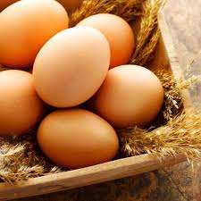 Oeufs de table/Oeufs à vendre - Product Image 4