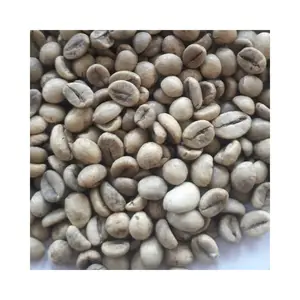 ロブスタコーヒー豆オーガニック生ロースト高品質アラビカ伝統コーヒー