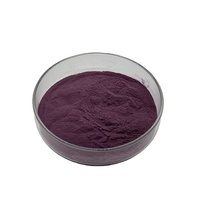 Zwarte Goji-sappoeder, bulk zwarte Goji-bessensappoeder anthocyanen, populaire zwarte Goji-bessenextract