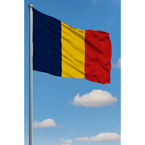 Custom Chad Outdoor <b>Flag</b> with Digital Printing Aluminum <b>Pole</b> & Various Materials (Cloth Cotton Satin Nylon Polyester Silk) - Product Image 3