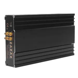 2000 Watts Class D Mono Block Car Amplifier Monoblock Amp for Speakers Efficient Car Amplifier