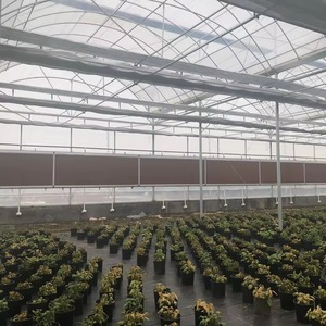 Intelligent Smart Poly Greenhouse with Multi Zone Climate Control for Agriculture University Research and Testing Lab - Product Image 4