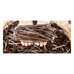 ถั่ววานิลลาคัดสรรพิเศษสำหรับตลาดจำนวนมาก - Product Image 5