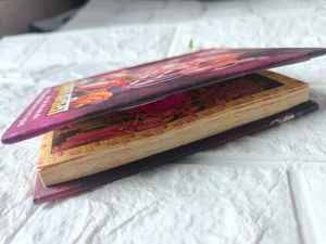 Livre de poche Hanuman Chalisa avec images colorées comprenant Hanuman Yantra Aarti Stuti Bajrang Baan et traduction en anglais hindi - Product Image 2