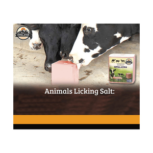 บริสุทธิ์หิมาลัยธรรมชาติสัตว์เกลือบล็อกเลียเกลือในทุกขนาดด้วยเชือกสำหรับขายในราคาต่ำที่มีคุณภาพที่ดีที่สุดสัตว์เลีย - Product Image 2