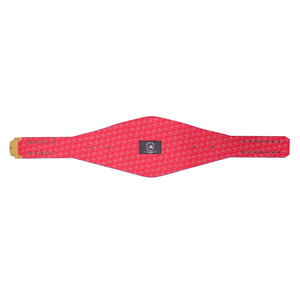 เข็มขัดมวยมวยปล้ำชื่อวงแหวน WWE WWE เข็มขัดแชมป์โลกแบบสั่งทำ - Product Image 5