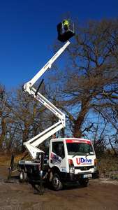 Recolectores de cerezas bastante usados a la venta | Mejor Venta de segunda mano - Product Image 3