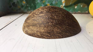 <b>Coconut</b> <b>Bowl</b> Carving Natural Low MOQ Customized Logo Polished <b>Coconut</b> Spoon Eco Friendly Long Lasting <b>Coconut</b> Shell <b>Bowl</b> - Product Image 5