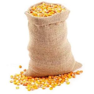 Maíz orgánico amarillo y blanco sin OGM, maíz dulce y seco para alimentación humana y animal para consumo humano - Product Image 1