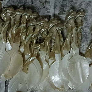 Mother of Pearl Spoon Premium Quality Wholesale Supplier from Vietnam - Product Image 1