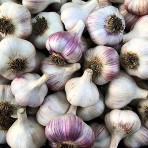 High Quality 100% Nature Made in Vienna <b>Fresh</b> White <b>Garlic</b> Flakes Non-GMO Best Price Super Food - Product Image 5