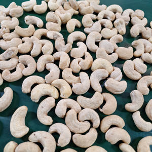 Fournisseur de confiance des noix de cajou du Vietnam W320 SANTIGO Vietnam W320 noix de cajou bon marché en vrac noyau Kaju Badam - Product Image 1